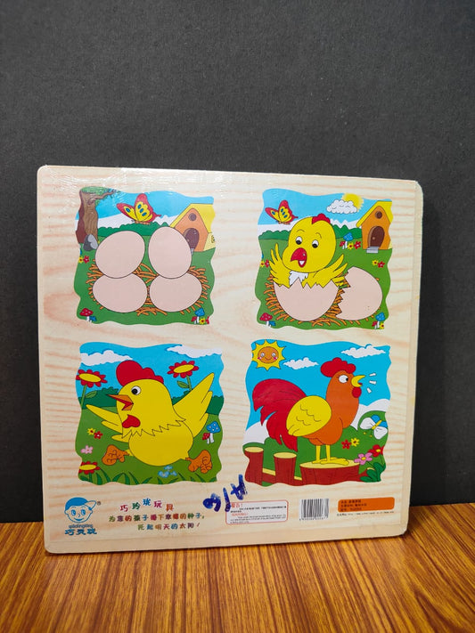 LIFE CYCLE LAYER JIGSAW PUZZLE