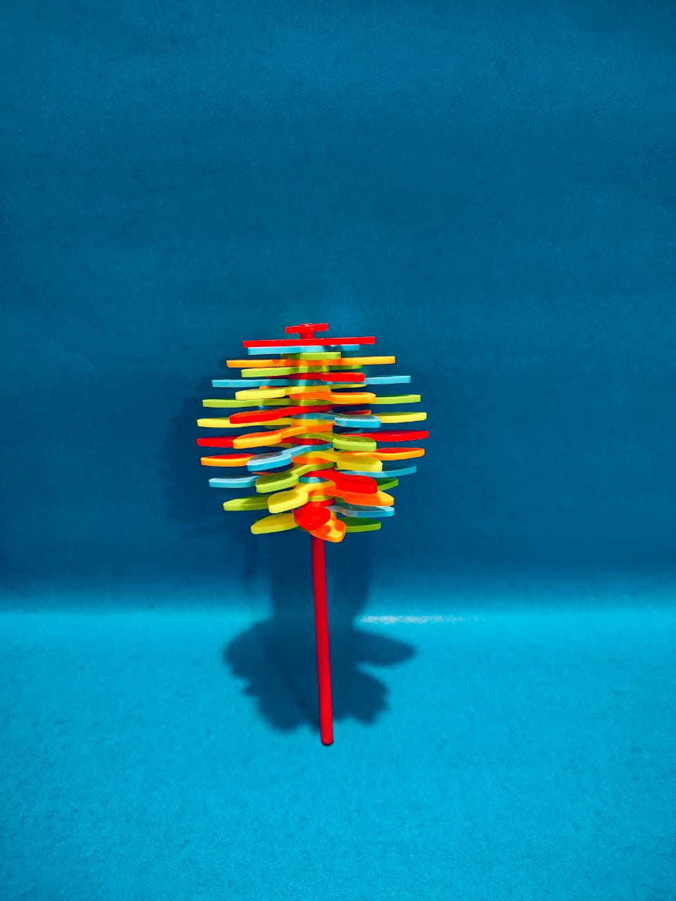 CANDY FLOWER