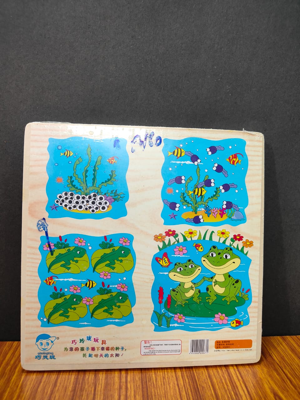 LIFE CYCLE LAYER JIGSAW PUZZLE