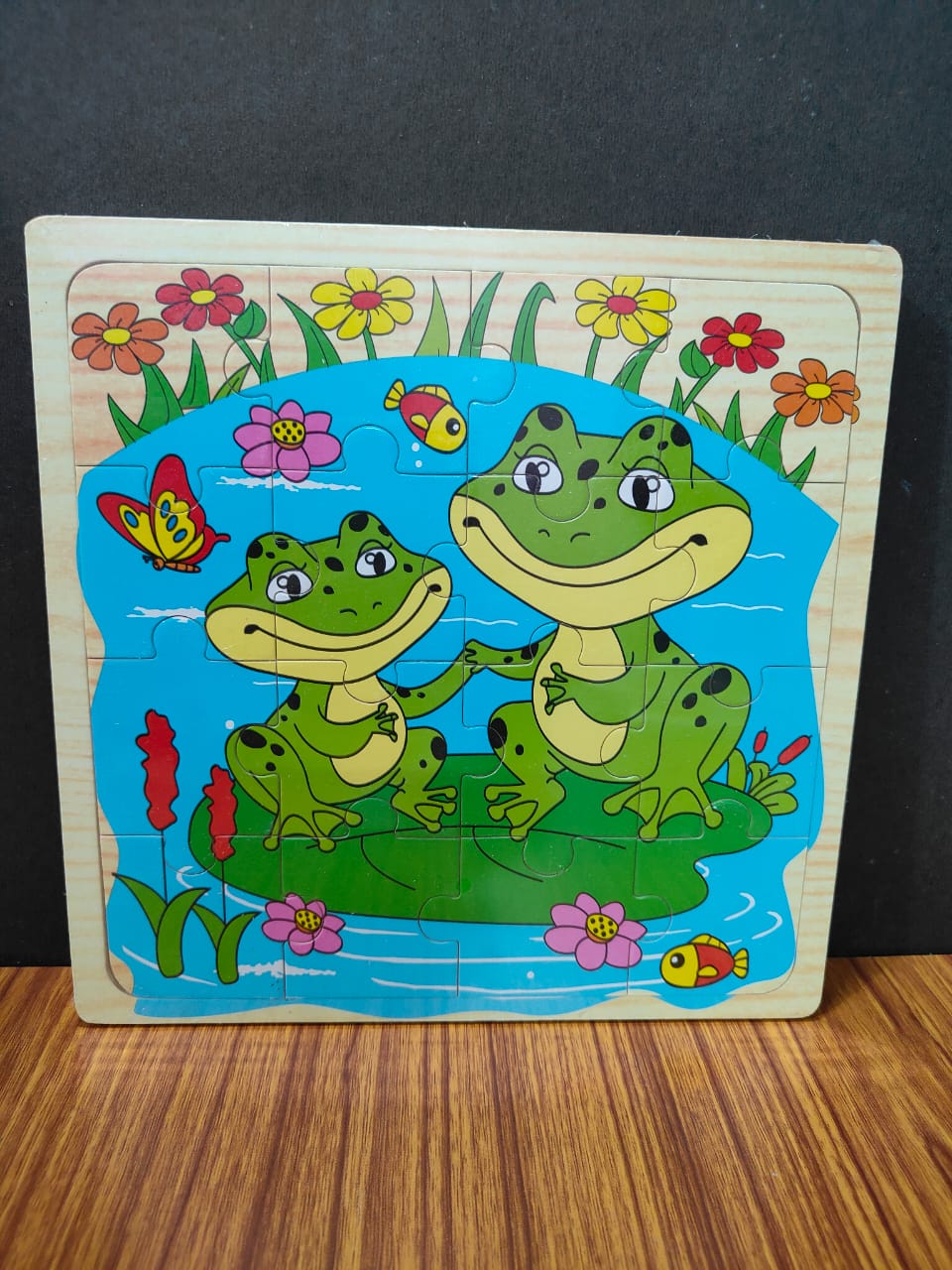 LIFE CYCLE LAYER JIGSAW PUZZLE