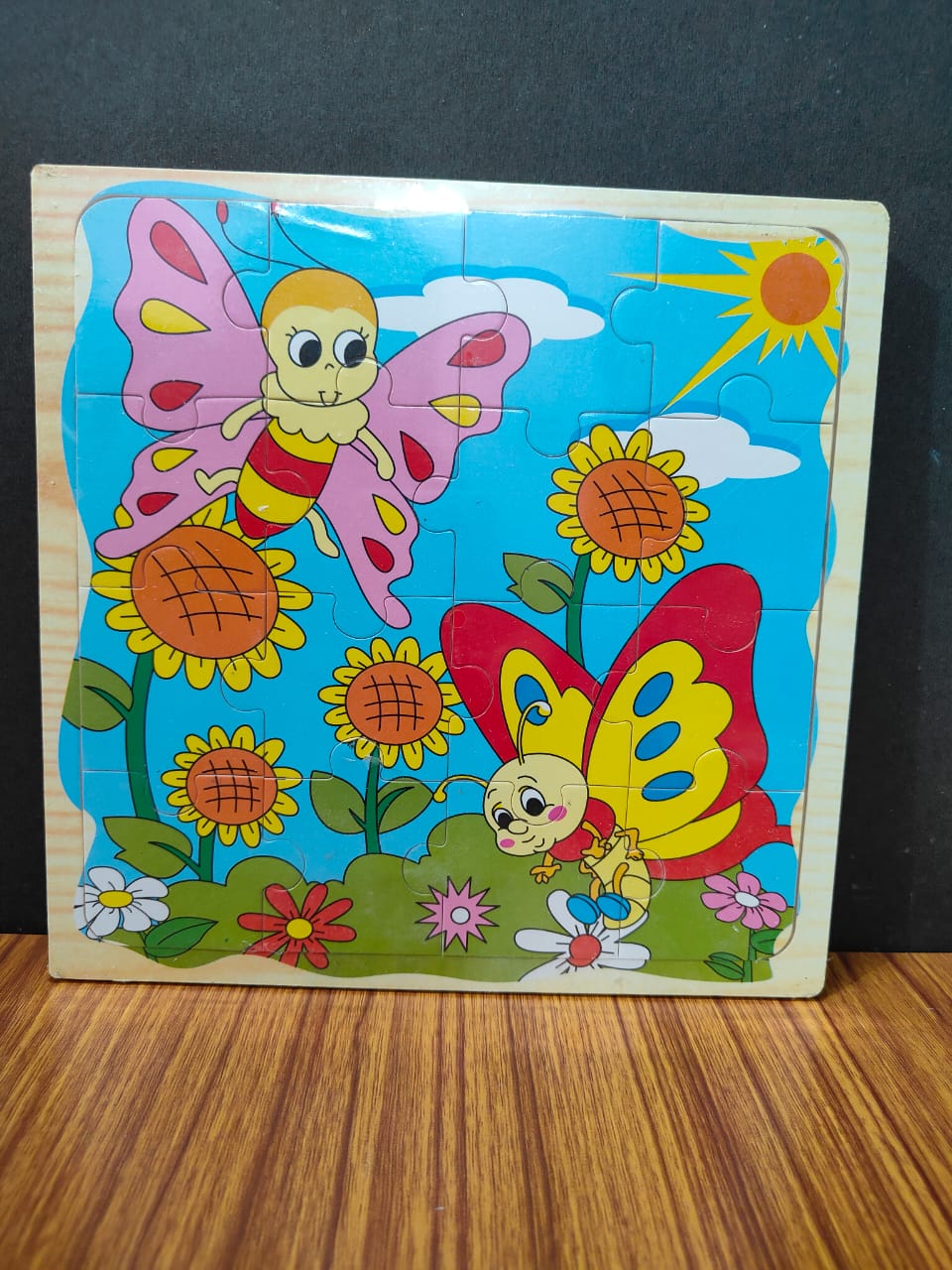 LIFE CYCLE LAYER JIGSAW PUZZLE