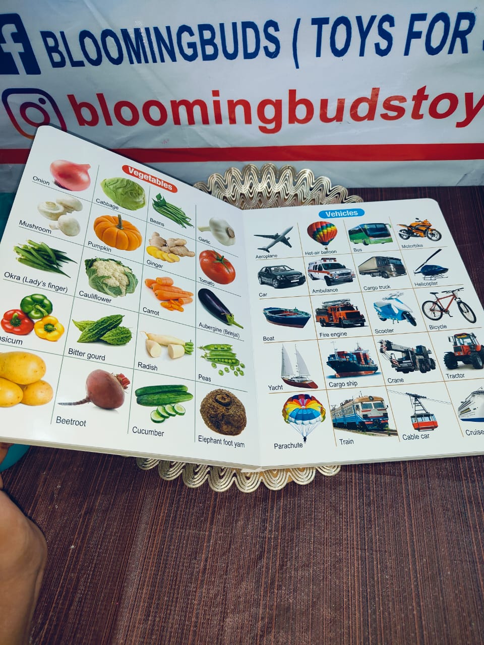 ALL IN ONE BOARD BOOK(ENGLISH)