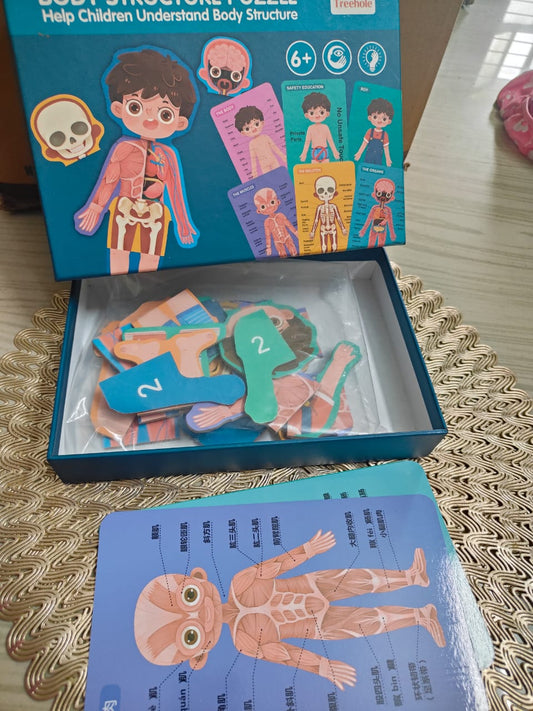 BODY STRUCTURE PUZZLE