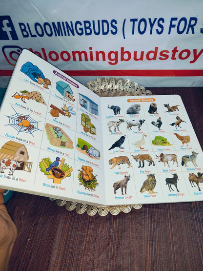ALL IN ONE BOARD BOOK(ENGLISH)