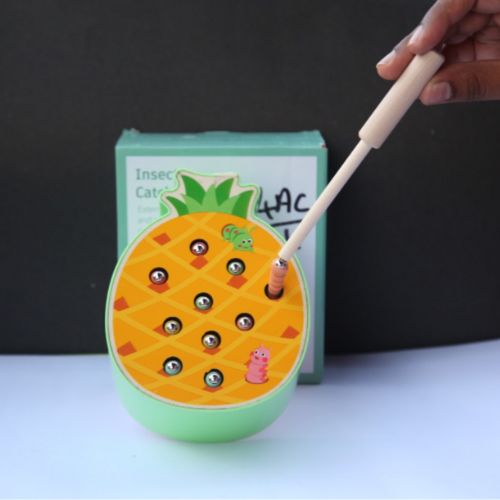 MAGNETIC INSECT CATCHING