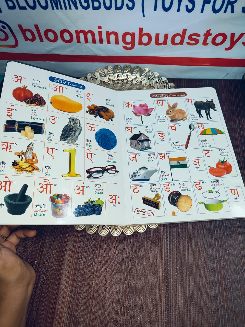 ALL IN ONE BOARD BOOK(ENGLISH)