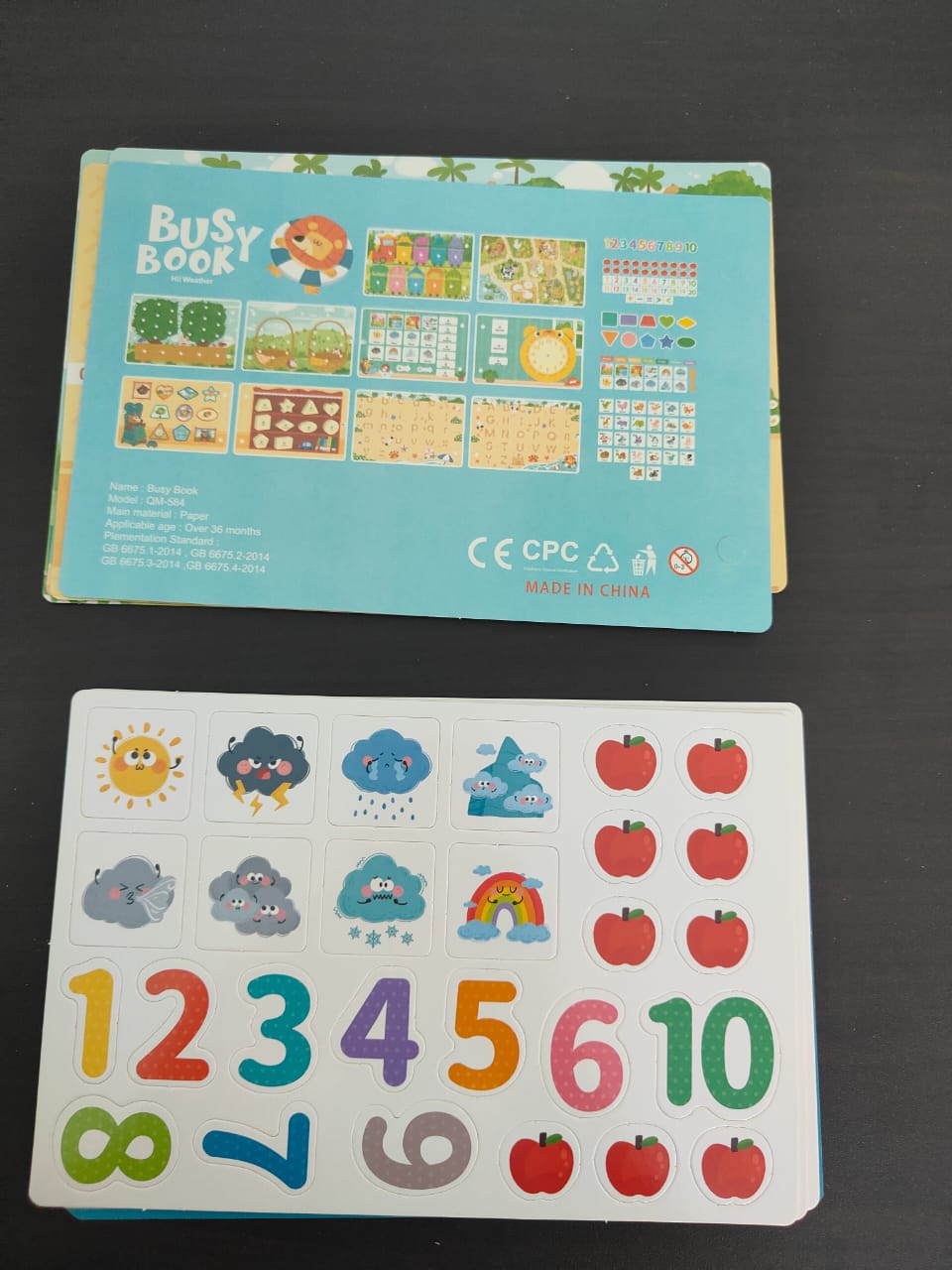 BUSY BOOK