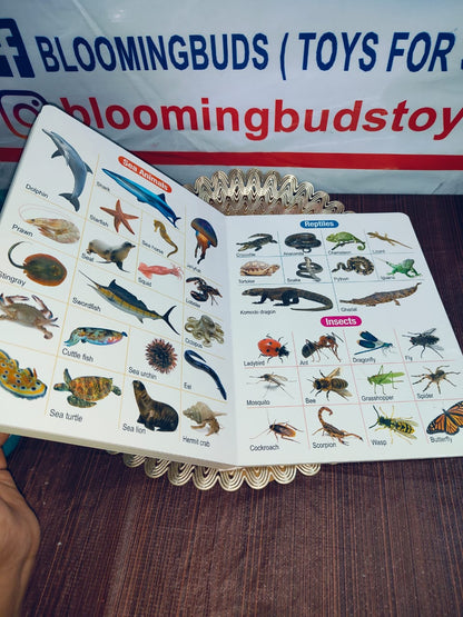 ALL IN ONE BOARD BOOK(ENGLISH)