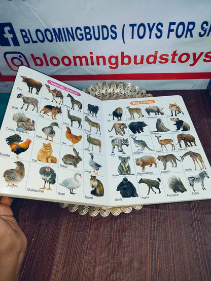 ALL IN ONE BOARD BOOK(ENGLISH)