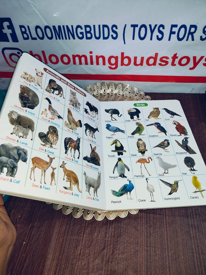 ALL IN ONE BOARD BOOK(ENGLISH)