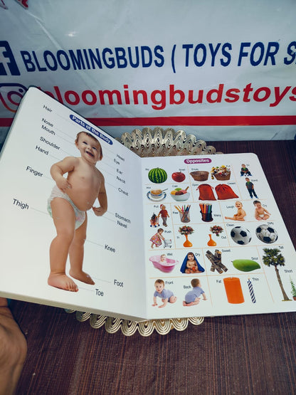 ALL IN ONE BOARD BOOK(ENGLISH)